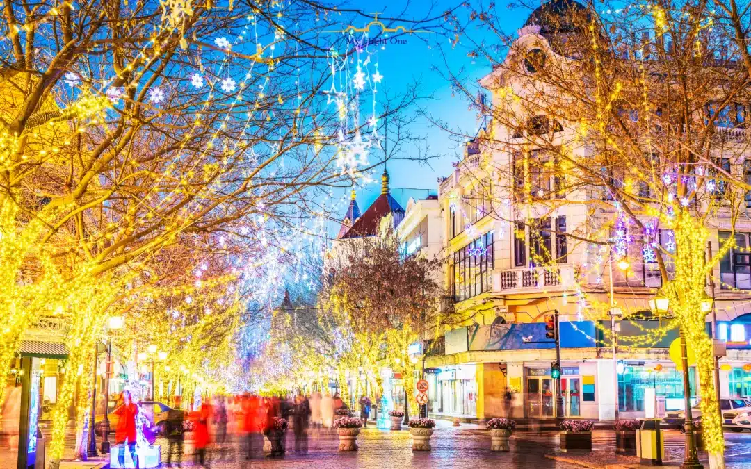Discover Harbin Your Ultimate Winter Wonderland Adventure