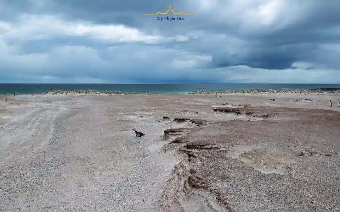 Argentine Court Bans Marketing Malvinas as a UK Destination