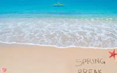 Top Travel Trends and Hottest Spring Break Destinations for 2025
