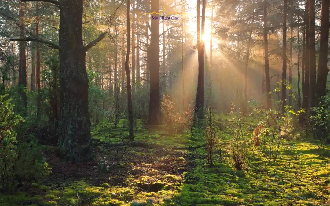 Top Quiet Travel Destinations