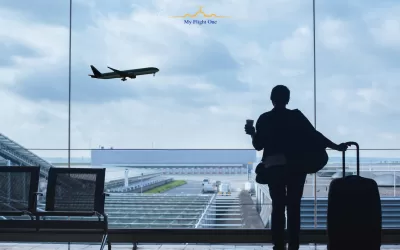 Summer 2025 at Vienna Airport Brings New Destinations and More Flights