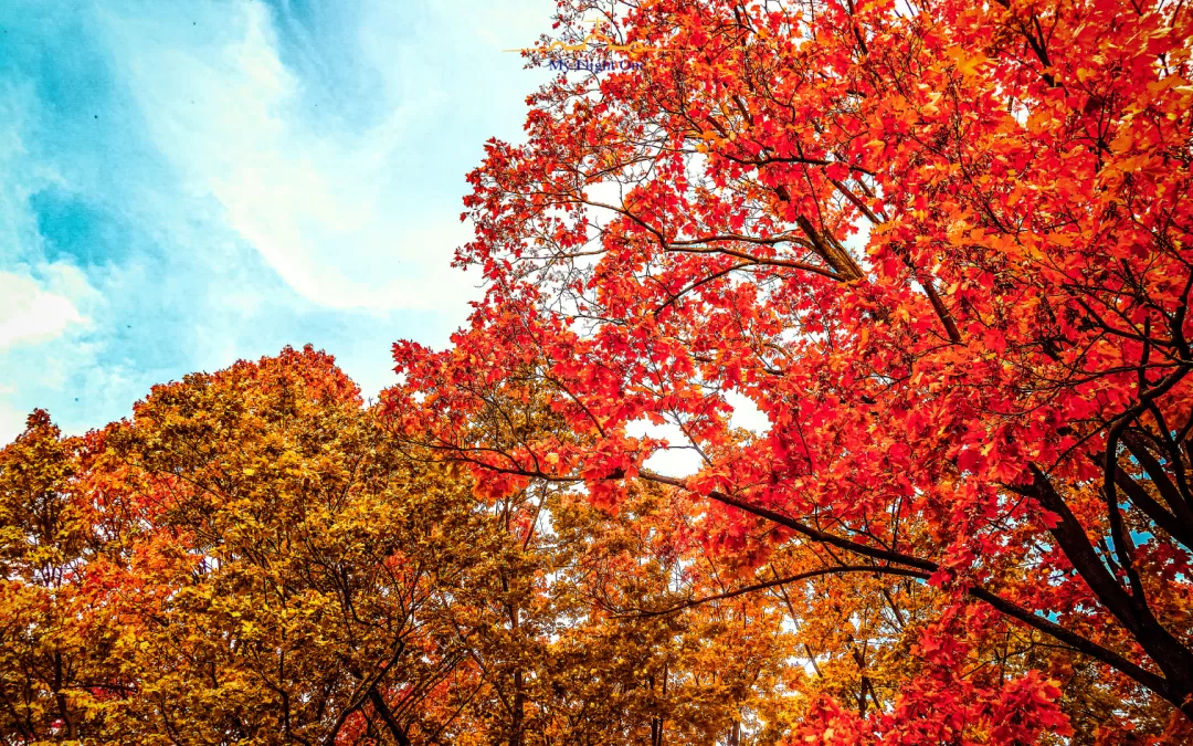 Top 18 Must Visit Travel Destinations for an Epic September 2025 Getaway