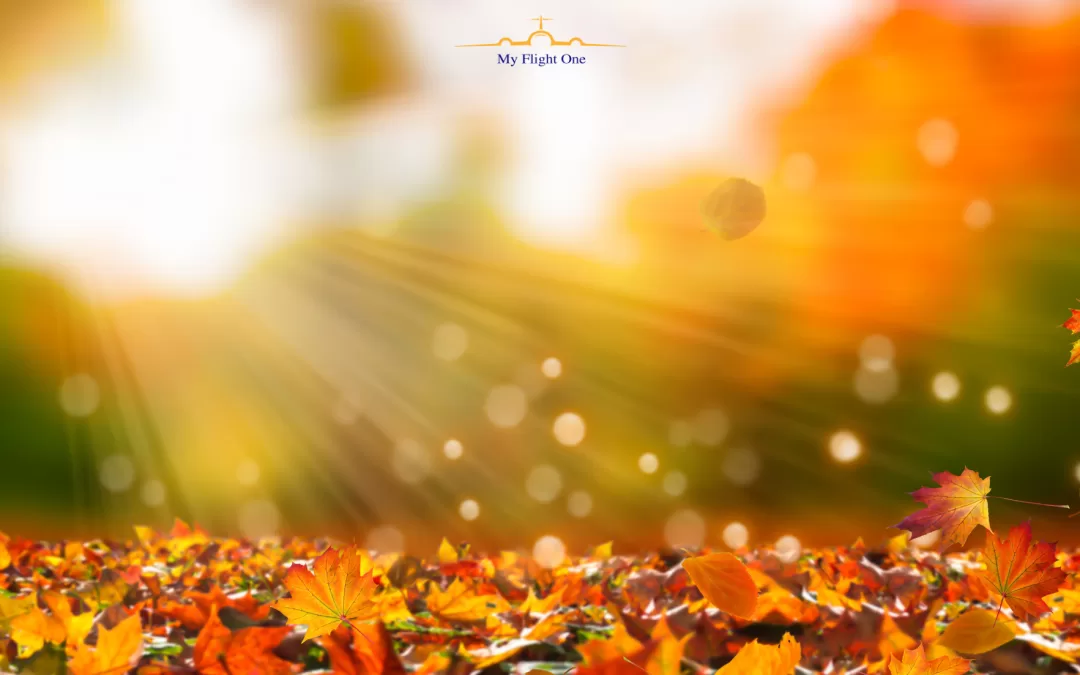 Gen Z Leads the Way in 2025 Fall Travel Trends