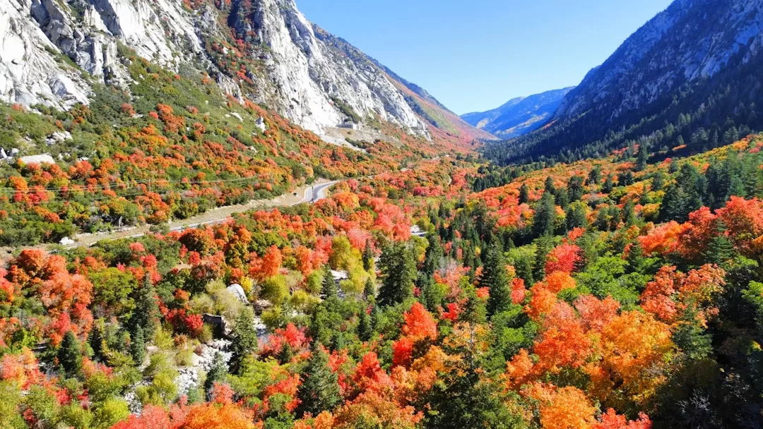 Best Fall Travel Spots to Spark Your Autumn Wanderlust