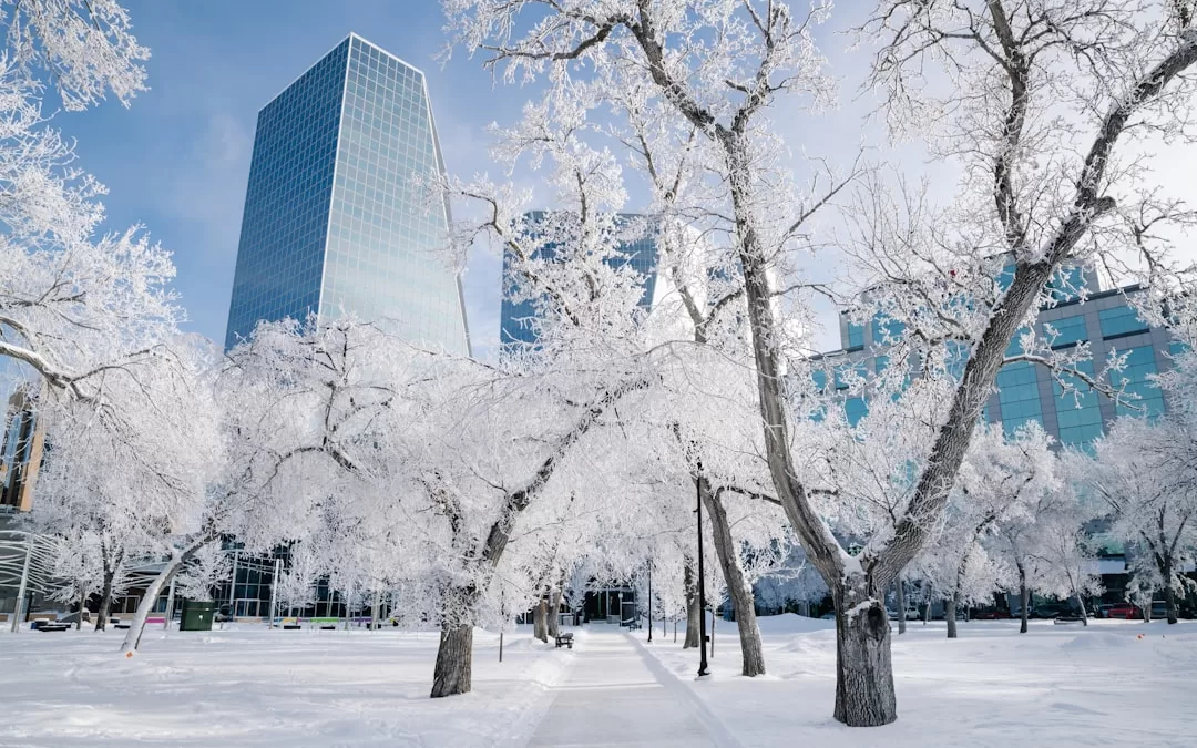 Winter Wonderlands You Need to Visit in the USA