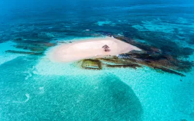 Dive into Wonders: Top 6 Extraordinary Global Dive Spots