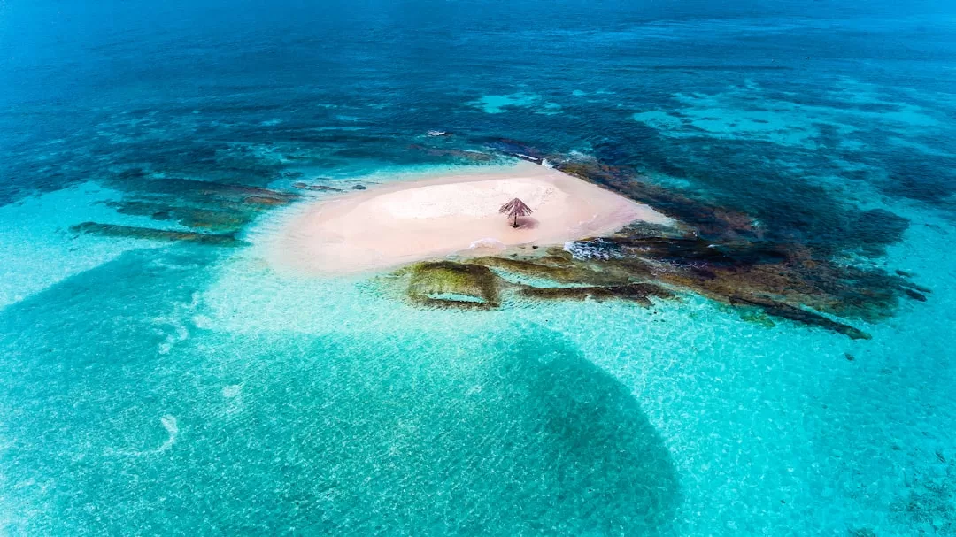 Dive into Wonders: Top 6 Extraordinary Global Dive Spots